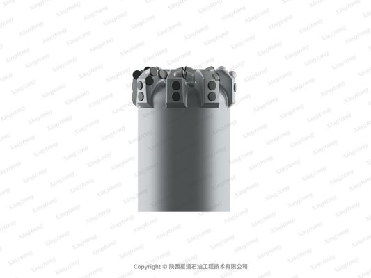 6 XS-QX 13（24201）PDC Drill Bit with GI Cutter Grade 24 Face and 8 Nozzle Count for High-Performance Drilling