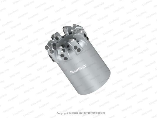 6 XS-QX 13（24201）PDC Drill Bit with GI Cutter Grade 24 Face and 8 Nozzle Count for High-Performance Drilling