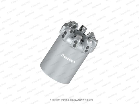 6 XS-QX 13（24201）PDC Drill Bit with GI Cutter Grade 24 Face and 8 Nozzle Count for High-Performance Drilling