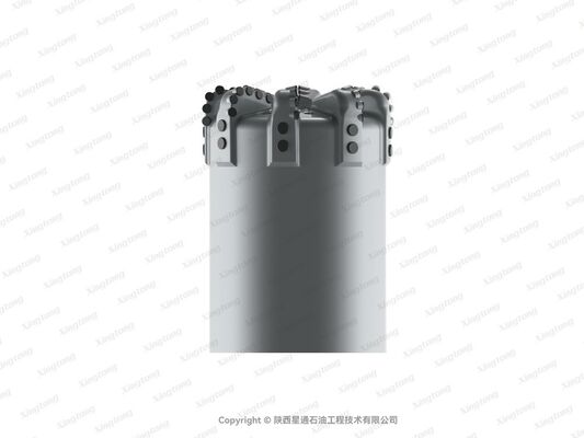 PDC Drill Bit 8 1.2 XS-QX 810（24202）Size with GI Cutter Grade and STEEL Body Type for Oil Well Drilling