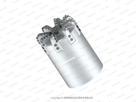 PDC Drill Bit 8 1.2 XS-QX 810（24202）Size with GI Cutter Grade and STEEL Body Type for Oil Well Drilling