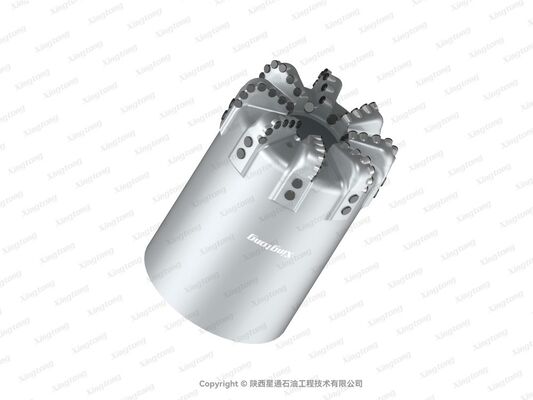 PDC Drill Bit 8 1.2 XS-QX 810（24202）Size with GI Cutter Grade and STEEL Body Type for Oil Well Drilling