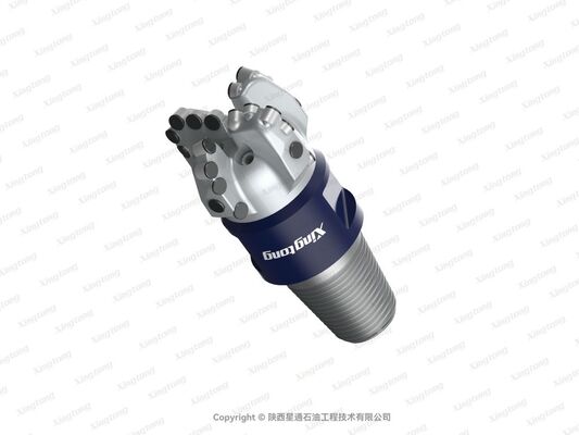 4 3/4 XS-CZ 4136(24044) Size PDC Drill Bit with GI Cutter Grade and 2-7/8REG API Connection for Oil and Gas Drilling